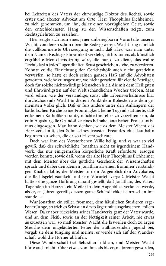 Seite 299