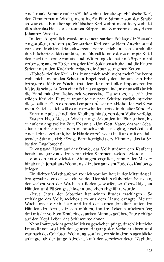 Seite 323