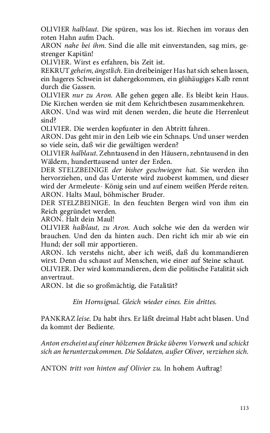 Seite 113