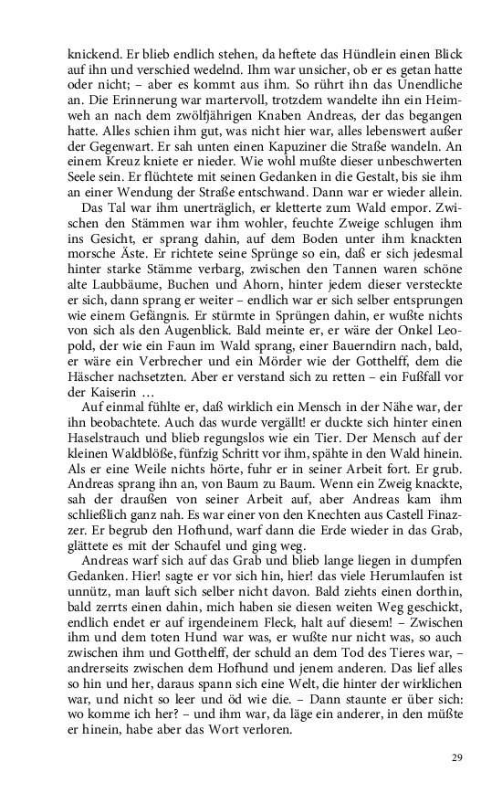 Seite 29