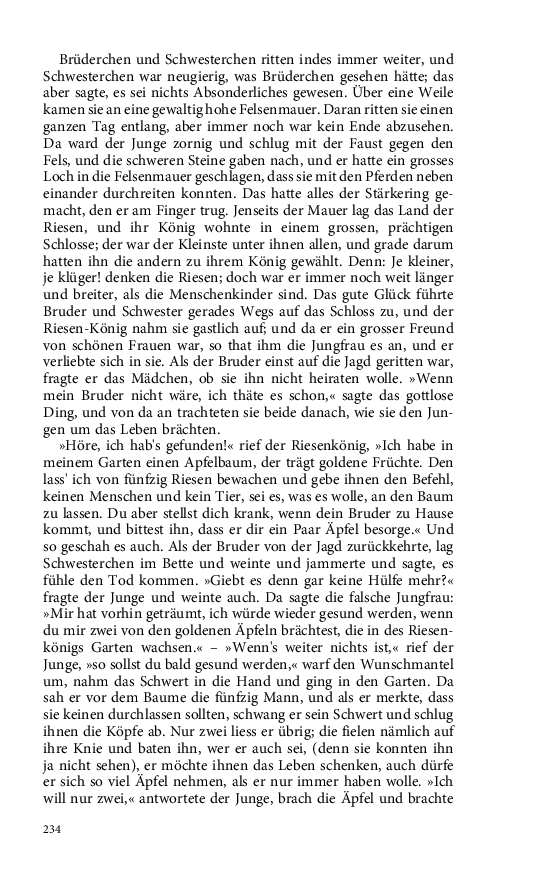 Seite 234