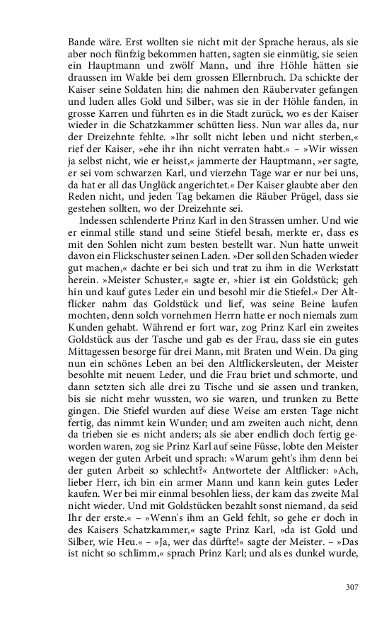Seite 307