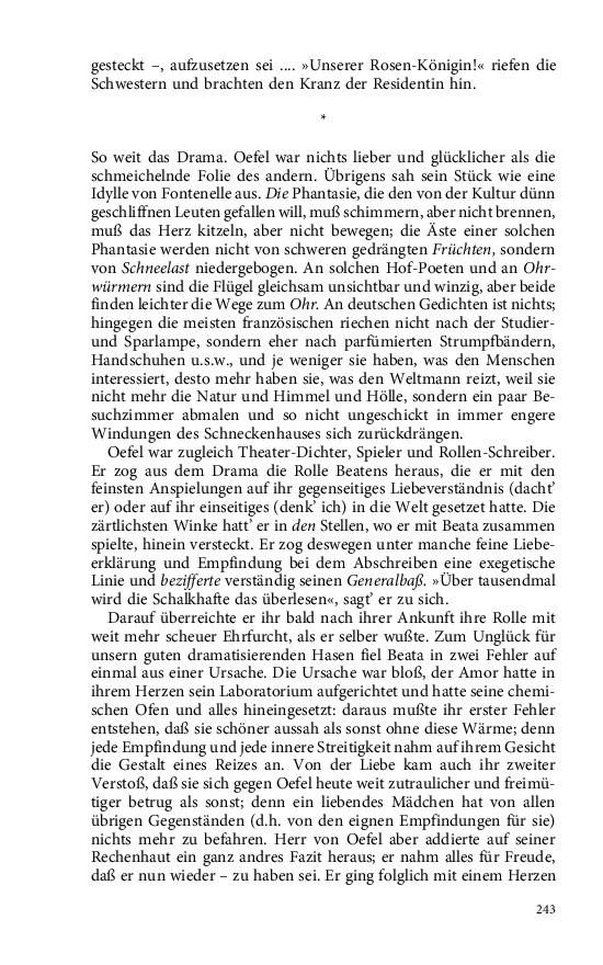 Seite 243