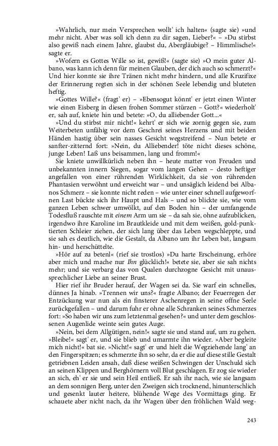 Seite 243