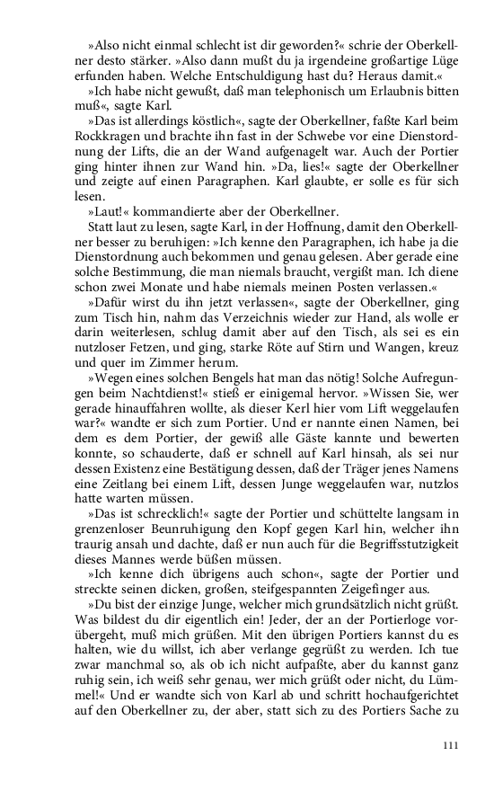 Seite 111