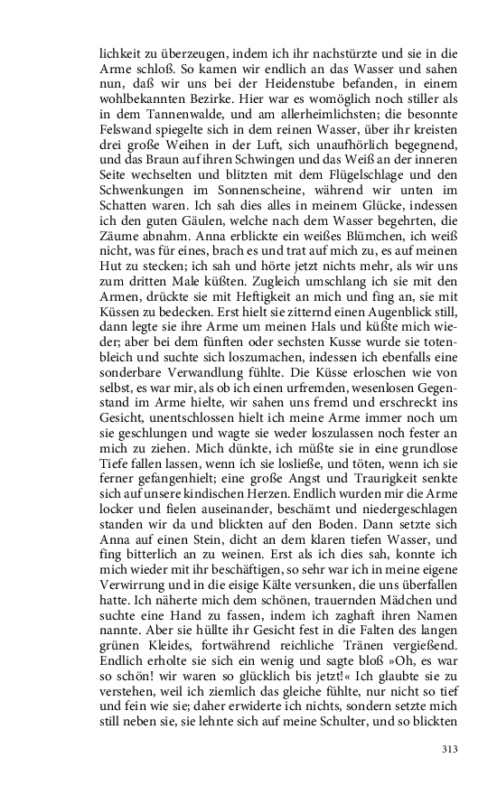 Seite 313