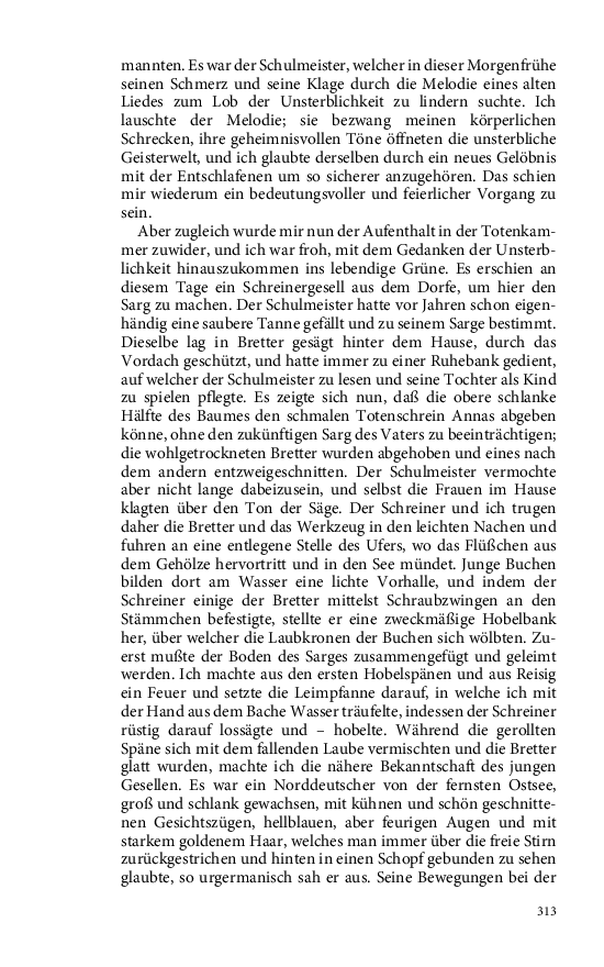Seite 313