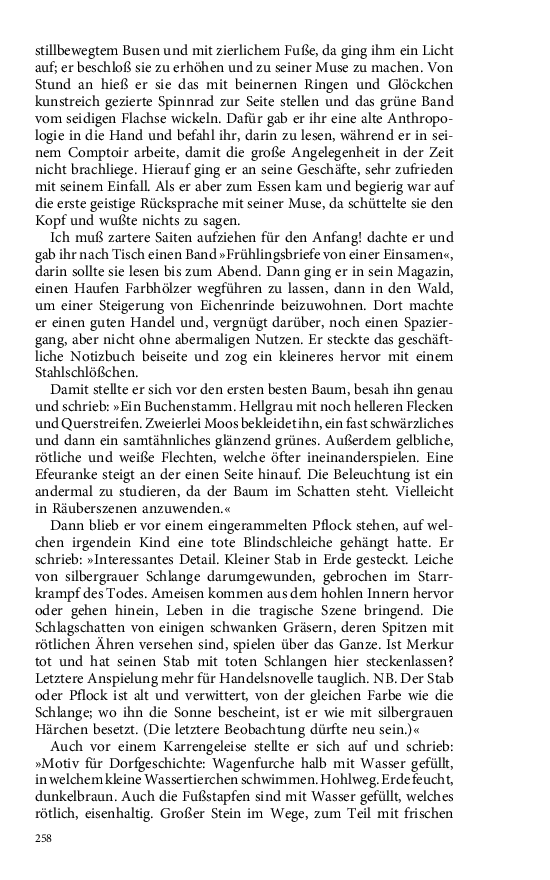 Seite 258