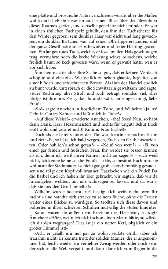 Seite 293