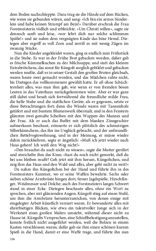 Seite 316