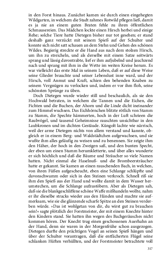 Seite 317