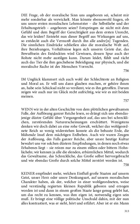 Seite 313