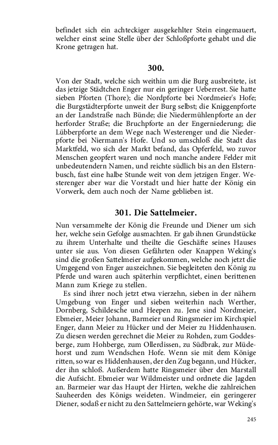 Seite 245