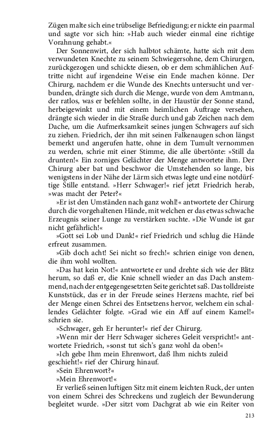 Seite 213