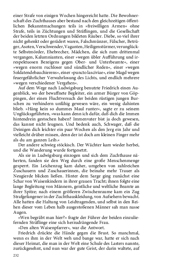 Seite 232