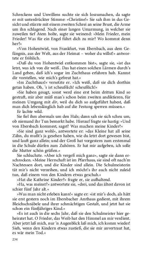 Seite 234