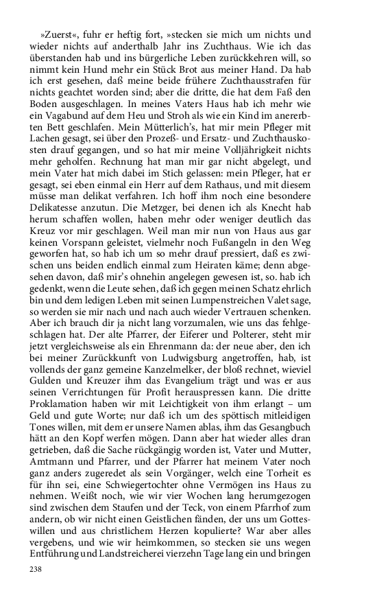 Seite 238