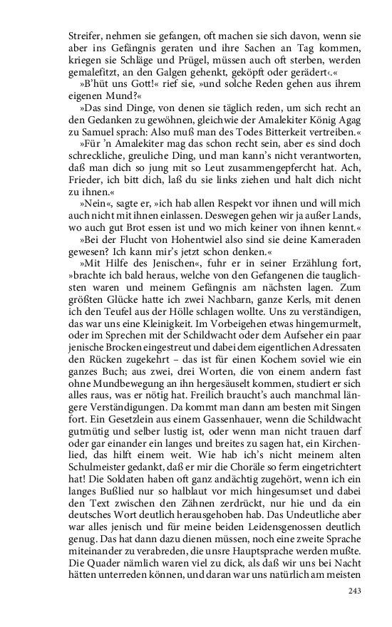 Seite 243