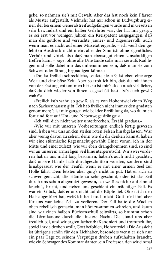 Seite 247