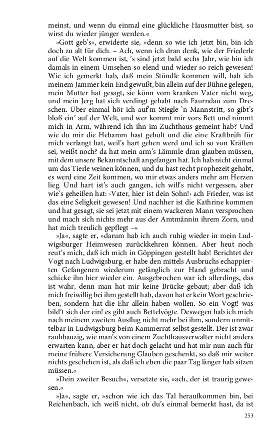 Seite 253