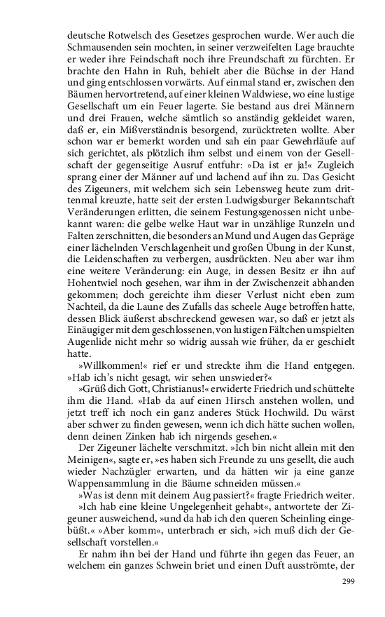 Seite 299