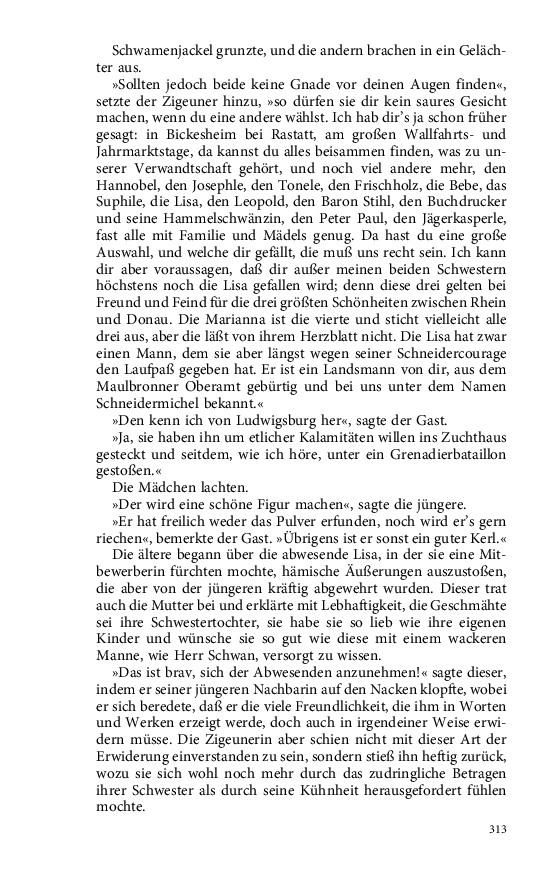 Seite 313