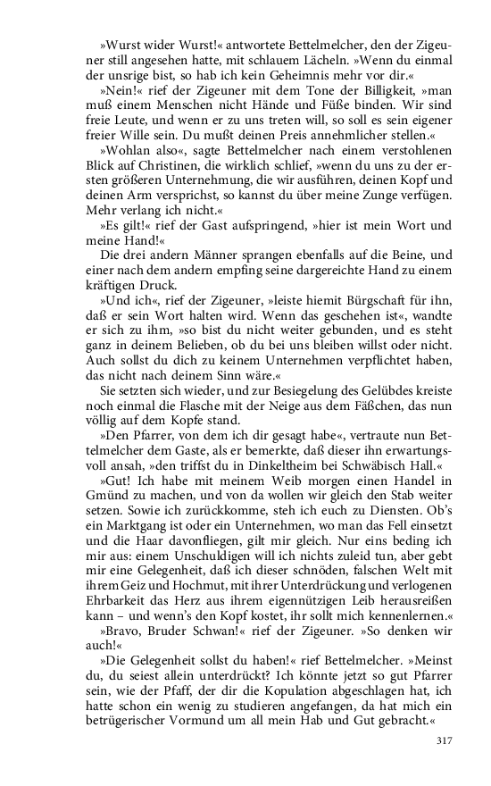Seite 317
