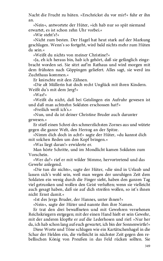 Seite 349