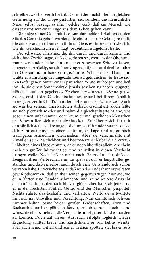 Seite 384