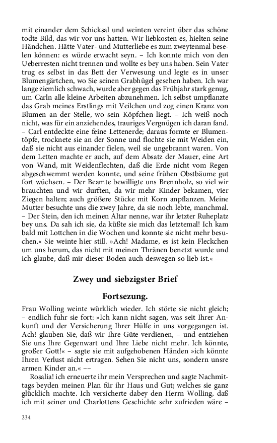 Seite 234