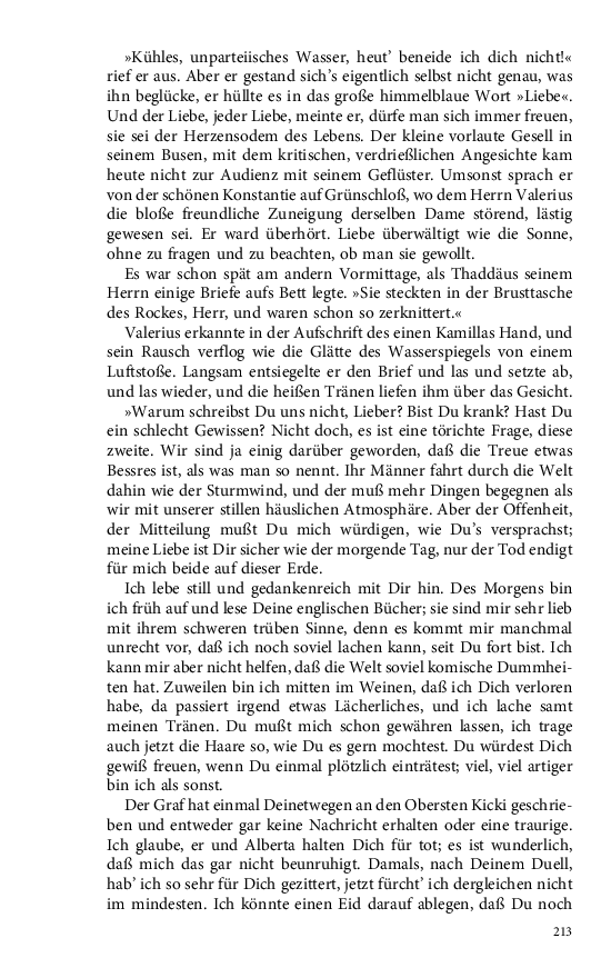 Seite 213