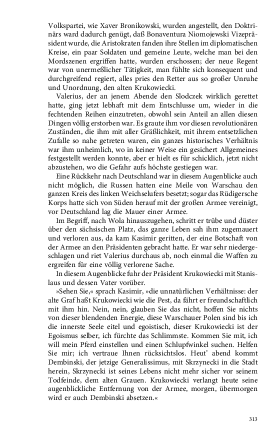 Seite 313