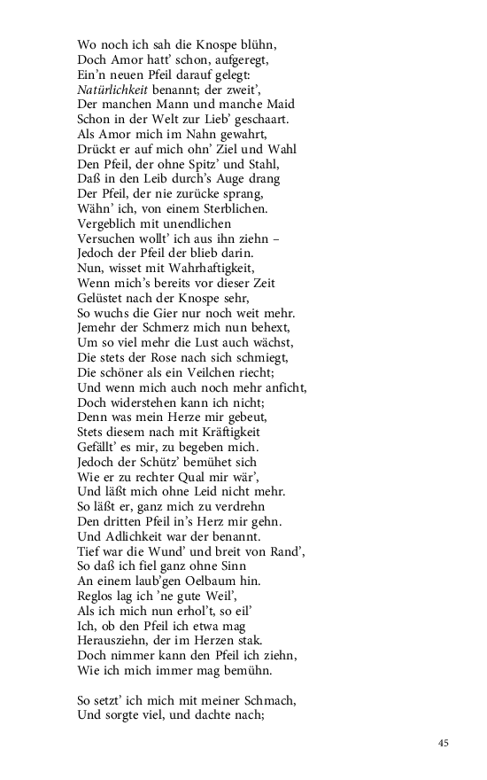 Seite 45
