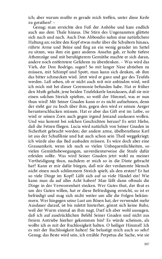 Seite 307