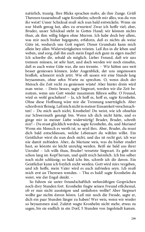 Seite 299