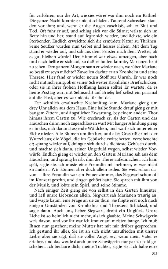 Seite 313