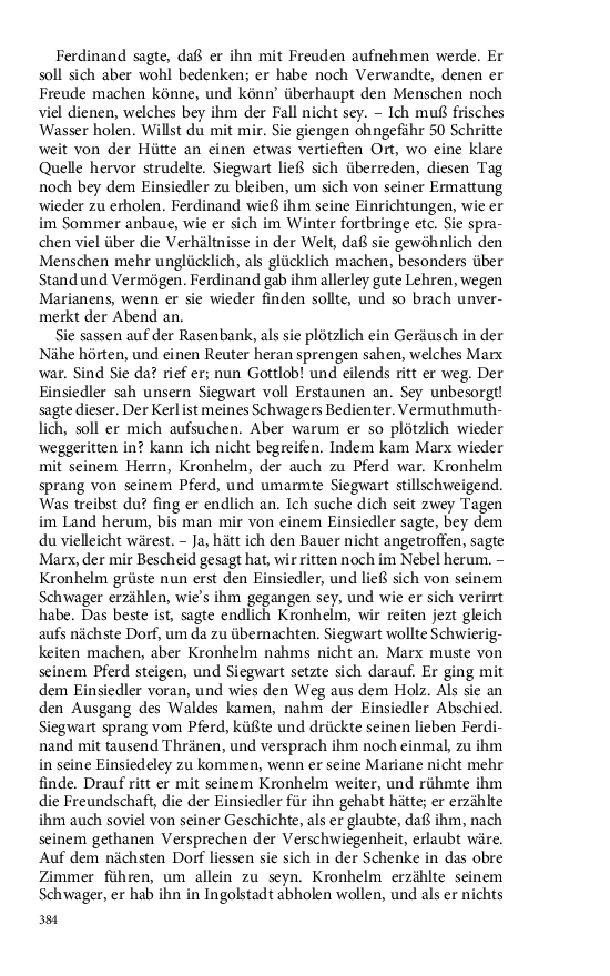 Seite 384