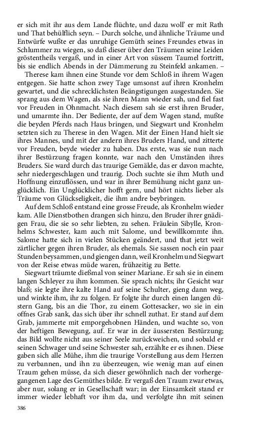 Seite 386
