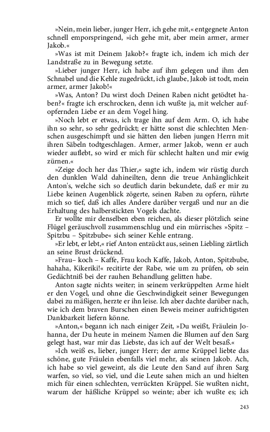 Seite 243