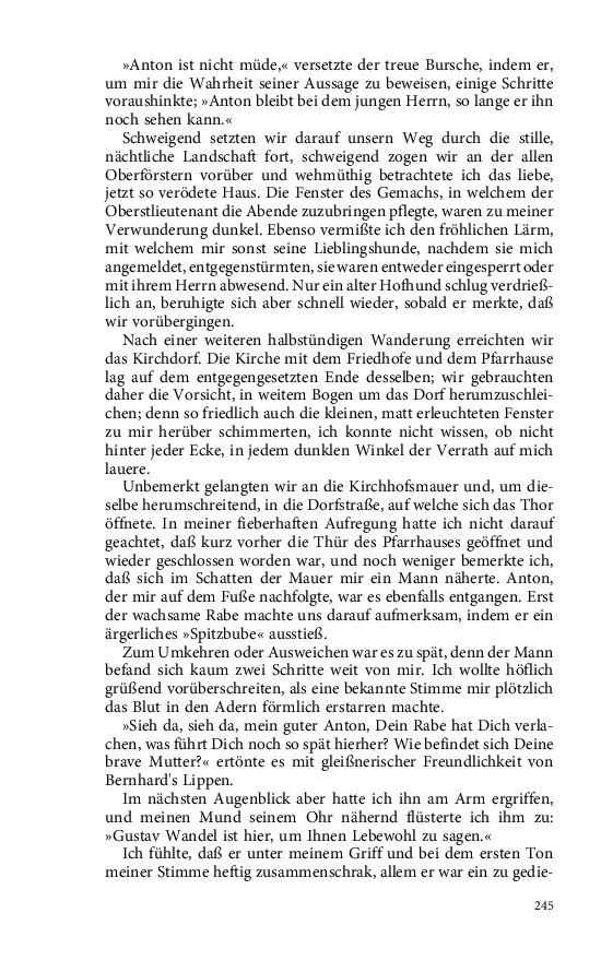 Seite 245