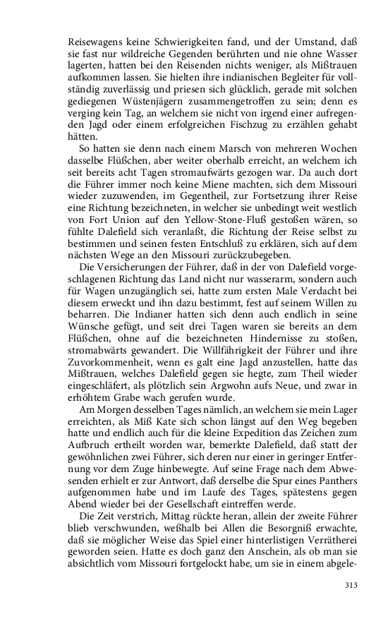 Seite 313