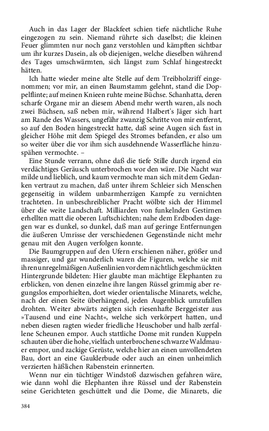 Seite 384