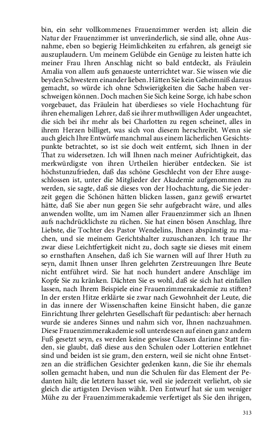 Seite 313