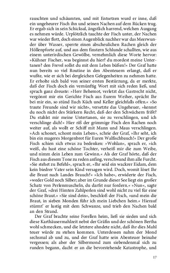 Seite 17