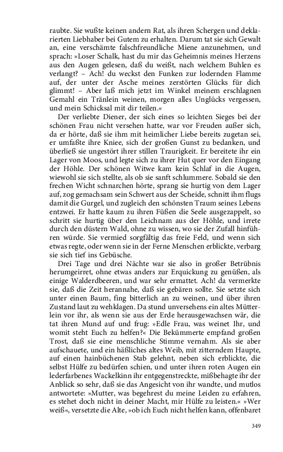 Seite 349