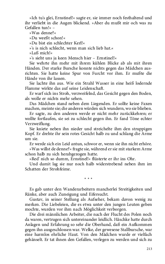 Seite 213