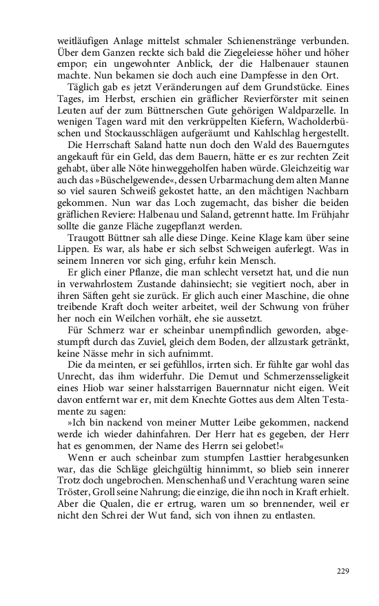 Seite 229
