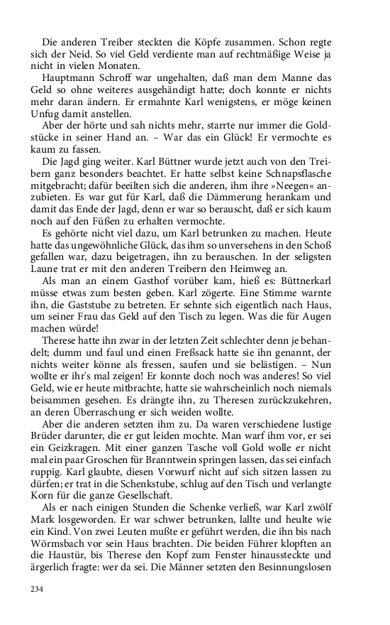 Seite 234