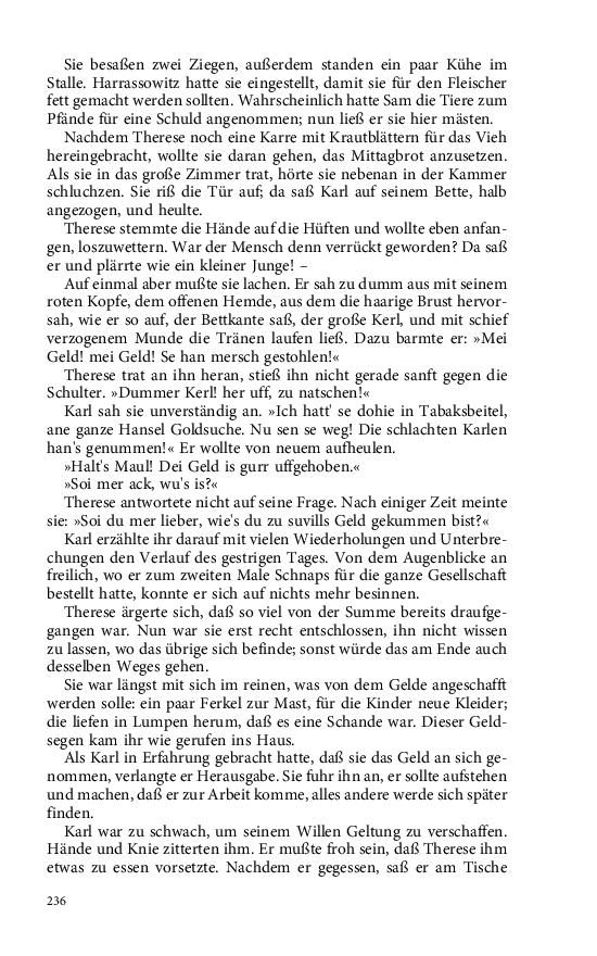 Seite 236