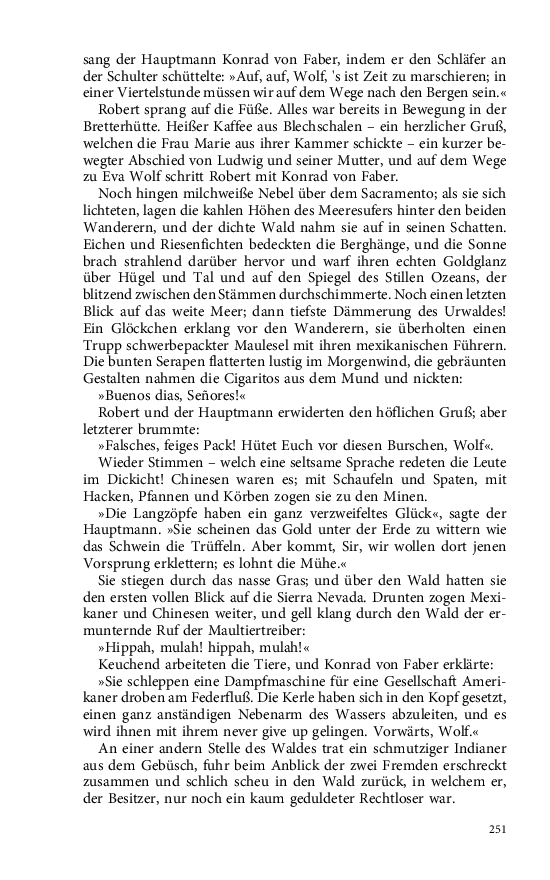 Seite 251